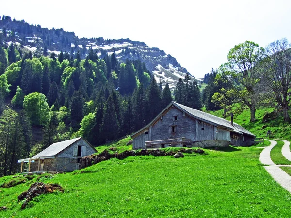 Granjas Ganaderas Arquitectura Rural Valle Del Río Thur Región Obertoggenburg — Foto de Stock
