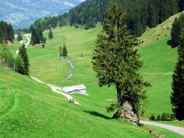 Rinderfarmen Und Ländliche Architektur Thurtal Und Obertoggenburg Nesslau Kanton Gallen — Stockfoto