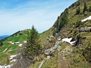 Churfirsten dağ sırasının yamaçlarında ve Obertoggenburg bölgesinde yürüyen ve işaretlenen yollar, Nesslau - İsviçre, St. Gallen Kantonu