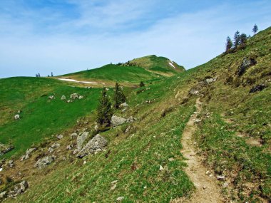 Churfirsten dağ sırasının yamaçlarında ve Obertoggenburg bölgesinde yürüyen ve işaretlenen yollar, Nesslau - İsviçre, St. Gallen Kantonu