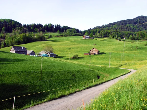 Procházky Značené Stezky Svazích Pohoří Churfirsten Obertoggenburgu Nesslau Kanton Gallena — Stock fotografie