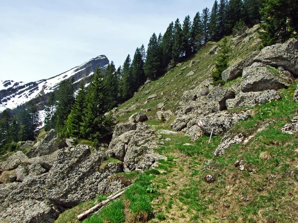 Sentiers Pédestres Balisés Sur Les Pentes Chaîne Montagnes Churfirsten Dans — Photo