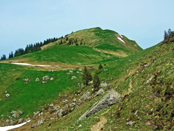 Szlaki Spacerowe Oznakowane Zboczach Pasma Górskiego Churfirsten Regionie Obertoggenburg Nesslau — Zdjęcie stockowe