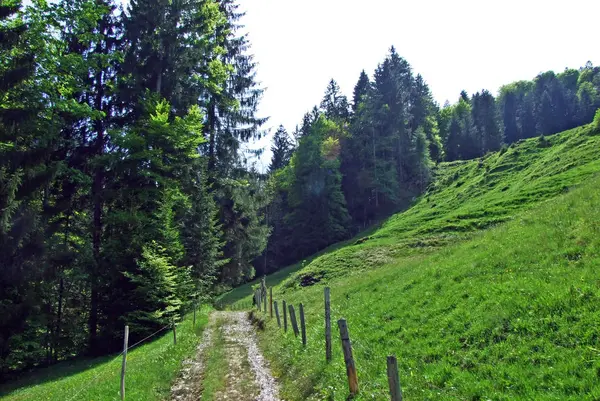 Wanderwege Und Markierte Wanderwege Den Hängen Der Churfirsten Und Obertoggenburg — Stockfoto