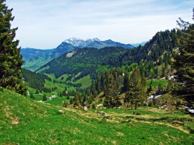 Churfirsten dağ sırasının yamaçlarında ve Obertoggenburg bölgesinde, Nesslau - İsviçre, St. Gallen Kantonu 'nda karışık ormanlar ve seyreltilmiş ağaçlar.