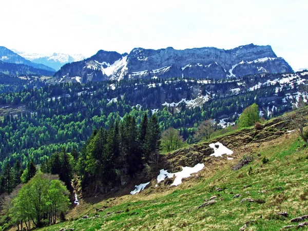 Blandskogar Och Gallrade Träd Sluttningarna Churfirsten Bergskedja Och Obertoggenburg Regionen — Stockfoto