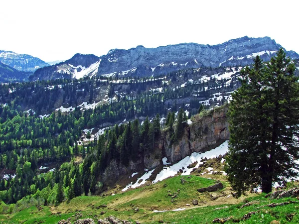 Bosques Mixtos Árboles Diluidos Las Laderas Cordillera Churfirsten Región Obertoggenburg —  Fotos de Stock