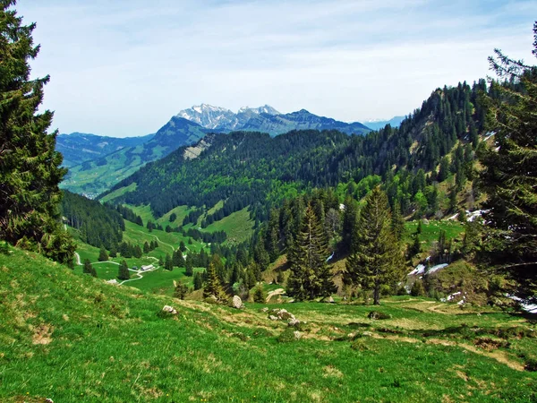 Florestas Mistas Árvores Diluídas Nas Encostas Cordilheira Churfirsten Região Obertoggenburg — Fotografia de Stock