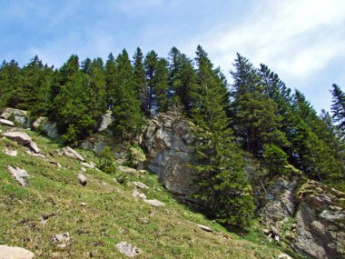 Churfirsten dağ sırasının yamaçlarında ve Obertoggenburg bölgesinde, Nesslau - İsviçre 'nin St. Gallen Kantonu