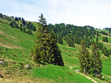 Churfirsten dağ sırasının yamaçlarında ve Obertoggenburg bölgesinde, Nesslau - İsviçre 'nin St. Gallen Kantonu