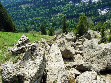 Churfirsten dağ sırasının kayaları ve taşları ve Obertoggenburg bölgesinde, Nesslau - İsviçre, St. Gallen Kantonu