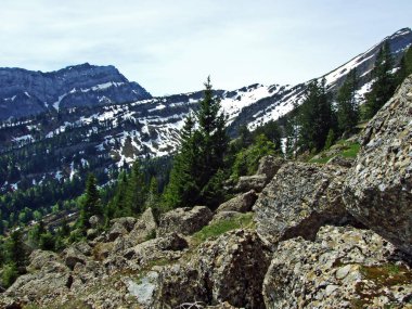Churfirsten dağ sırasının kayaları ve taşları ve Obertoggenburg bölgesinde, Nesslau - İsviçre, St. Gallen Kantonu