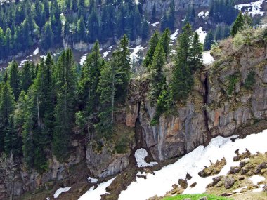 Churfirsten dağ sırasının kayaları ve taşları ve Obertoggenburg bölgesinde, Nesslau - İsviçre, St. Gallen Kantonu