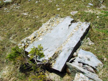 Churfirsten dağ sırasının kayaları ve taşları ve Obertoggenburg bölgesinde, Nesslau - İsviçre, St. Gallen Kantonu