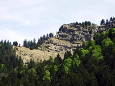 Churfirsten dağ sırasının kayaları ve taşları ve Obertoggenburg bölgesinde, Nesslau - İsviçre, St. Gallen Kantonu