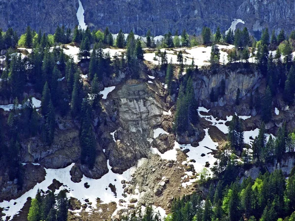 Churfirsten Dağ Sırasının Kayaları Taşları Obertoggenburg Bölgesinde Nesslau Sviçre Gallen — Stok fotoğraf