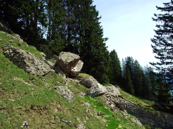 Rochers Pierres Chaîne Montagnes Churfirsten Région Obertoggenburg Nesslau Canton Saint — Photo