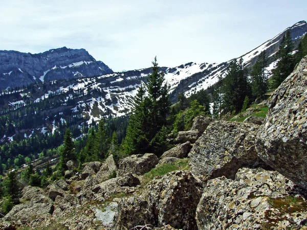 Churfirsten Dağ Sırasının Kayaları Taşları Obertoggenburg Bölgesinde Nesslau Sviçre Gallen — Stok fotoğraf