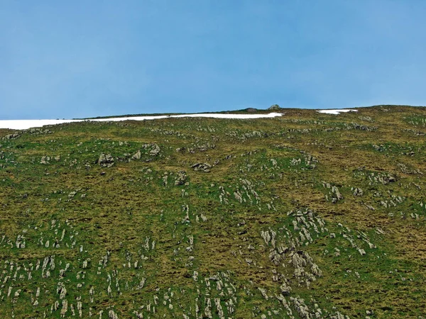 Klippor Och Stenar Churfirsten Bergskedja Och Obertoggenburg Regionen Nesslau Kanton — Stockfoto