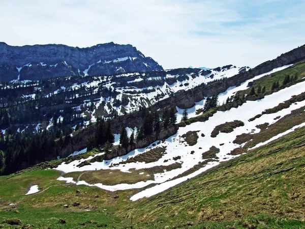 Πέτρες Και Πέτρες Της Οροσειράς Churfirsten Και Στην Περιοχή Obertoggenburg — Φωτογραφία Αρχείου