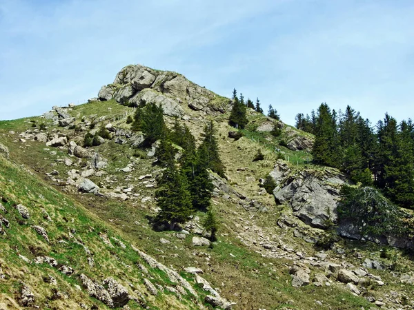 Churfirsten Dağ Sırasının Kayaları Taşları Obertoggenburg Bölgesinde Nesslau Sviçre Gallen — Stok fotoğraf