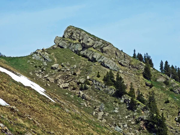 Churfirsten Dağ Sırasının Kayaları Taşları Obertoggenburg Bölgesinde Nesslau Sviçre Gallen — Stok fotoğraf