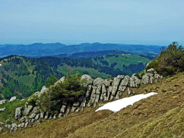 チュルファーレン山脈の岩や石 そしてオベルトッゲンブルク地方 ネスラウ州 カントン セント ガレン スイス — ストック写真