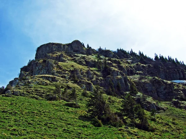 Rocks Stones Churfirsten Mountain Range Obertoggenburg Region Nesslau Canton Gallen — Stock Photo, Image