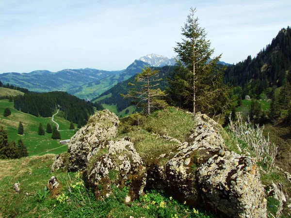 Felsen Und Steine Der Churfirsten Und Obertoggenburg Nesslau Kanton Gallen — Stockfoto