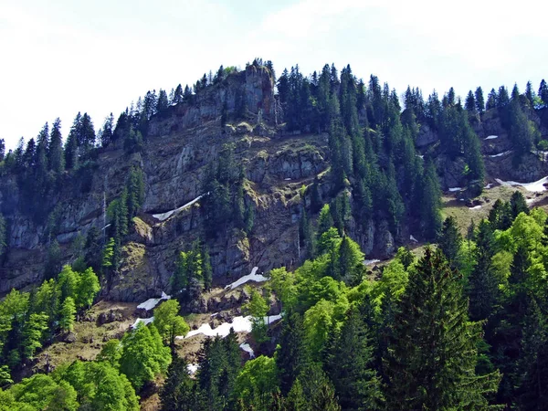 Churfirsten Dağ Sırasının Kayaları Taşları Obertoggenburg Bölgesinde Nesslau Sviçre Gallen — Stok fotoğraf