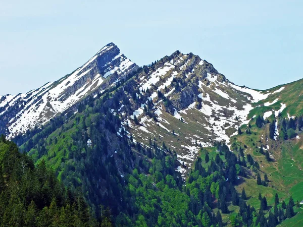 Speermurli Speermuerli Alpine Peak Sobre Valle Ijental Región Obertoggenburg Nesslau —  Fotos de Stock