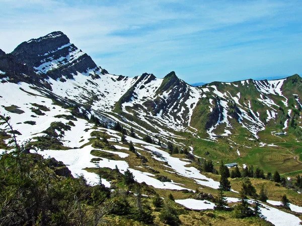 Speermurli Speermuerli Alpine Peak Sobre Valle Ijental Región Obertoggenburg Nesslau —  Fotos de Stock