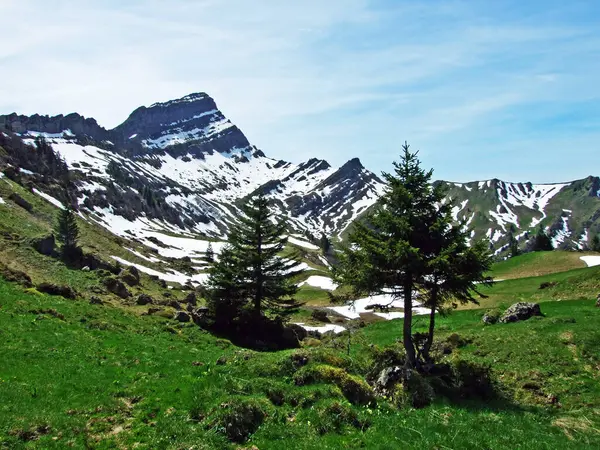페네르무에를 Speermuerli 알프스산맥 장골짜기 오베르 부르크 지역의 정상에 스위스 갈레노스의 — 스톡 사진