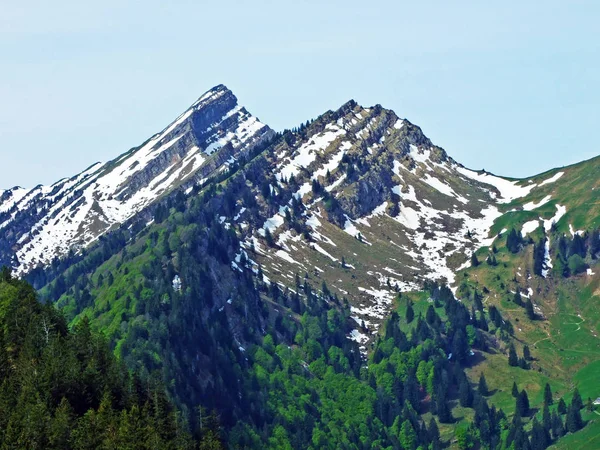 Speermurli Speermuerli Alpine Peak Ijental Valley Obertoggenburg Region Nesslau Canton Royalty Free Stock Images