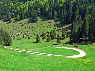 Obertoggenburg bölgesindeki Ijental Alp Vadisi ve Ijentaler Bach deresi boyunca, Nesslau - İsviçre, St. Gallen Kantonu