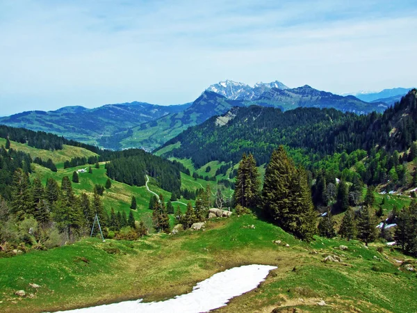 Pohled Pohoří Alpstein Údolí Řeky Thur Tvoří Oblast Obertoggenburg Nesslau — Stock fotografie