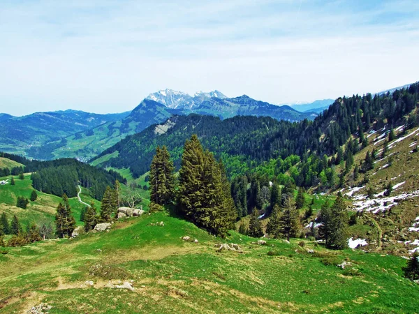 阿尔普斯坦山脉的视野从图尔河流域延伸到瑞士内斯劳州的奥伯托根堡地区 — 图库照片