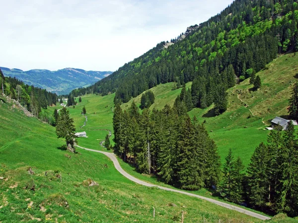 Ijental Alpine Valley Obertoggenburg Region Ijentaler Bach Stream Nesslau Canton — Stock fotografie