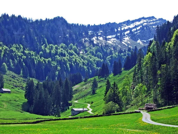 Κοιλάδα Ijental Alpine Στην Περιοχή Obertoggenburg Και Κατά Μήκος Του — Φωτογραφία Αρχείου