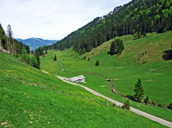 瑞士圣加仑州Nesslau市Obertoggenburg地区的Ijental Alpine山谷和Ijentaler Bach河沿岸 — 图库照片