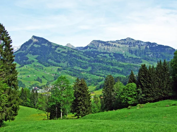 Valle Ijental Alpine Nella Regione Obertoggenburg Lungo Torrente Ijentaler Bach — Foto Stock