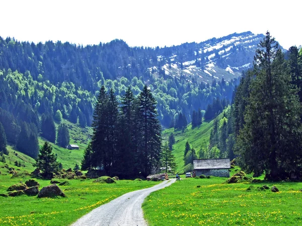瑞士圣加仑州Nesslau市Obertoggenburg地区的Ijental Alpine山谷和Ijentaler Bach河沿岸 — 图库照片