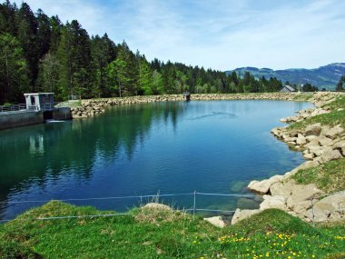 Obertoggenburg bölgesindeki Ijentaler Bach deresi üzerinde küçük bir yapay göl, Nesslau - İsviçre, St. Gallen Kantonu