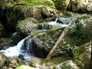 Ijentaler Bach deresi Ijental Alp Vadisi 'nde ve Obertoggenburg bölgesinde, Nesslau - İsviçre, St. Gallen Kantonu