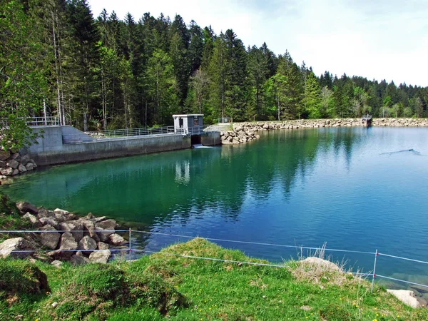 Невелике Штучне Озеро Річці Ijentaler Bach Обертоггенбурзькому Районі Нессау Кантон — стокове фото