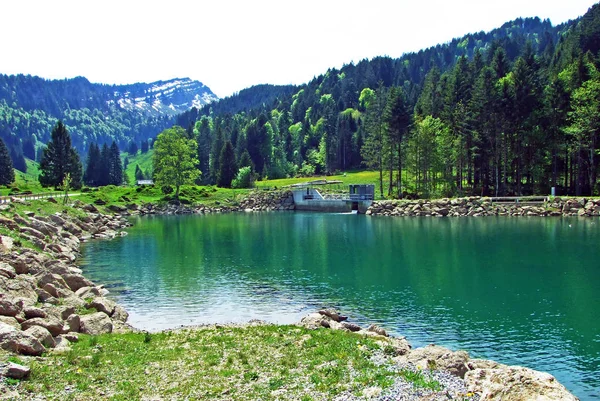 Egy Kis Mesterséges Ijentaler Bach Patakon Obertoggenburg Régióban Nesslau Gallen — Stock Fotó