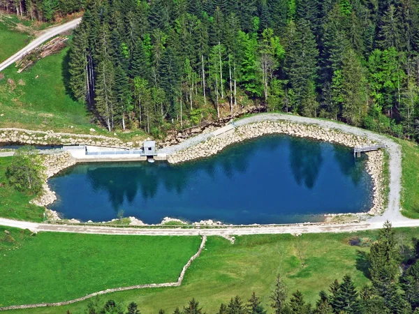 Невелике Штучне Озеро Річці Ijentaler Bach Обертоггенбурзькому Районі Нессау Кантон — стокове фото