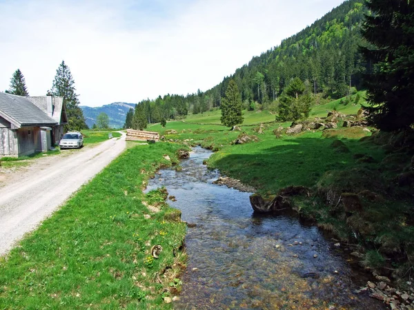 アイゼンターラー バッハ ストリーム Ijentaler Bach Stream Ijental Alpine Valley Obertoggenburg — ストック写真