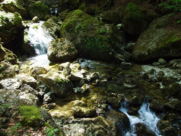 Strumień Ijentaler Bach Dolinie Ijental Alpine Regionie Obertoggenburg Nesslau Kanton — Zdjęcie stockowe