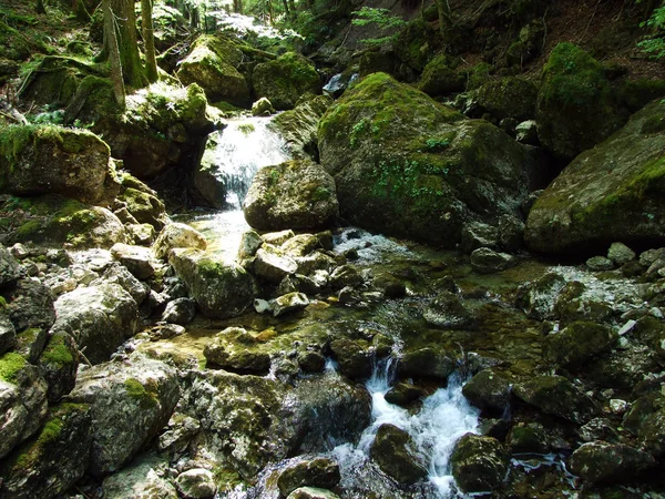Ijentaler Bach Stream Ijental Alpine Valley Obertoggenburg Region Nesslau Καντόνιο — Φωτογραφία Αρχείου